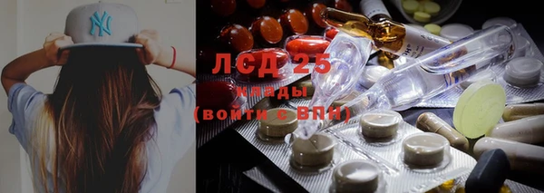 дмт Верея