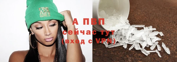 шишки Верхний Тагил