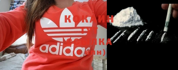 шишки Верхний Тагил