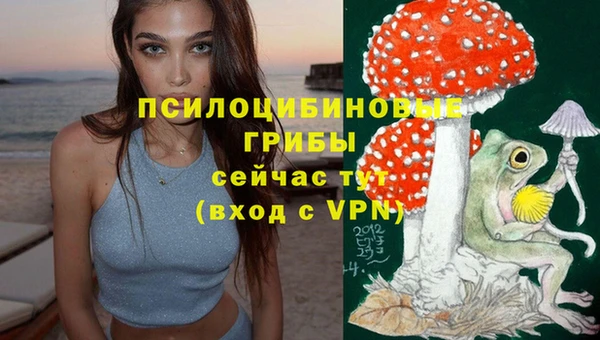 шишки Верхний Тагил