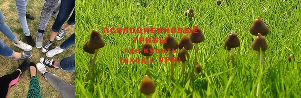 шишки Верхний Тагил