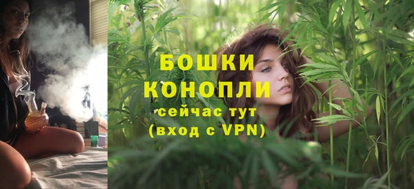 дмт Верея