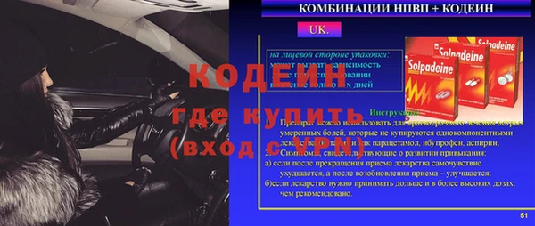 шишки Верхний Тагил