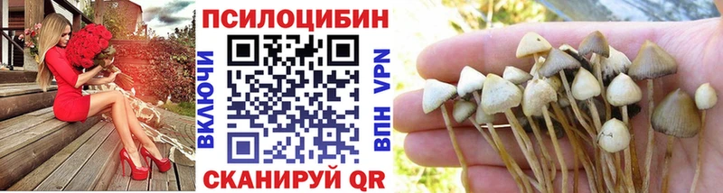 Псилоцибиновые грибы прущие грибы  Купить где  Котельники 