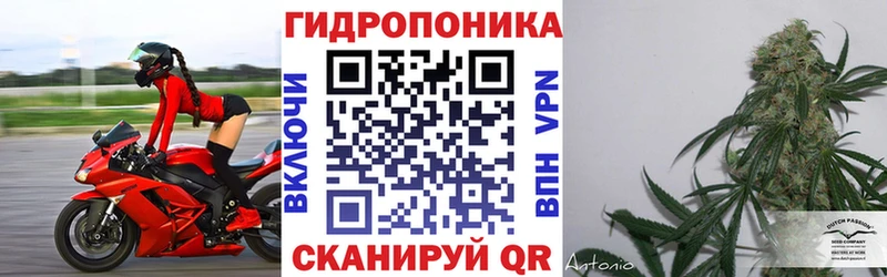 Купить закладки  Котельники  Канабис сатива 